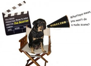 Director Boomer