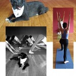 2 Weeks of Unlimited Yoga for $30