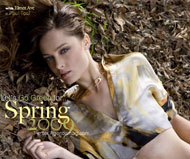 Spring 2009 Cover