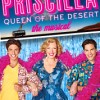Priscilla Queen of the Desert – Fabulous Fun at the Palace Theatre in NY