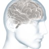 Giving Serious Thought to Brain Health – Prevent Alzheimer’s Disease Today
