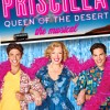 Priscilla Queen of the Desert – Fabulous Fun at the Palace Theatre in NY
