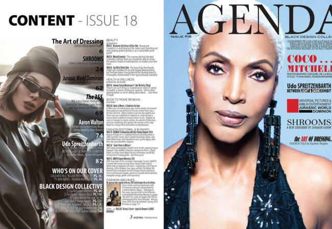 “Black Design Collective” Is the Focus of AGENDA Magazine, Issue 18!